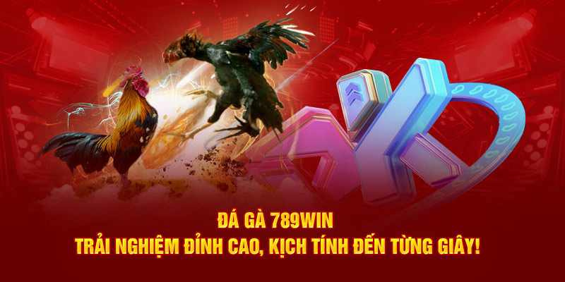 Đá Gà 789Win – Trải Nghiệm Đỉnh Cao, Kịch Tính Đến Từng Giây Đá Gà 789Win – Trải Nghiệm Đỉnh Cao, Kịch Tính Đến Từng Giây